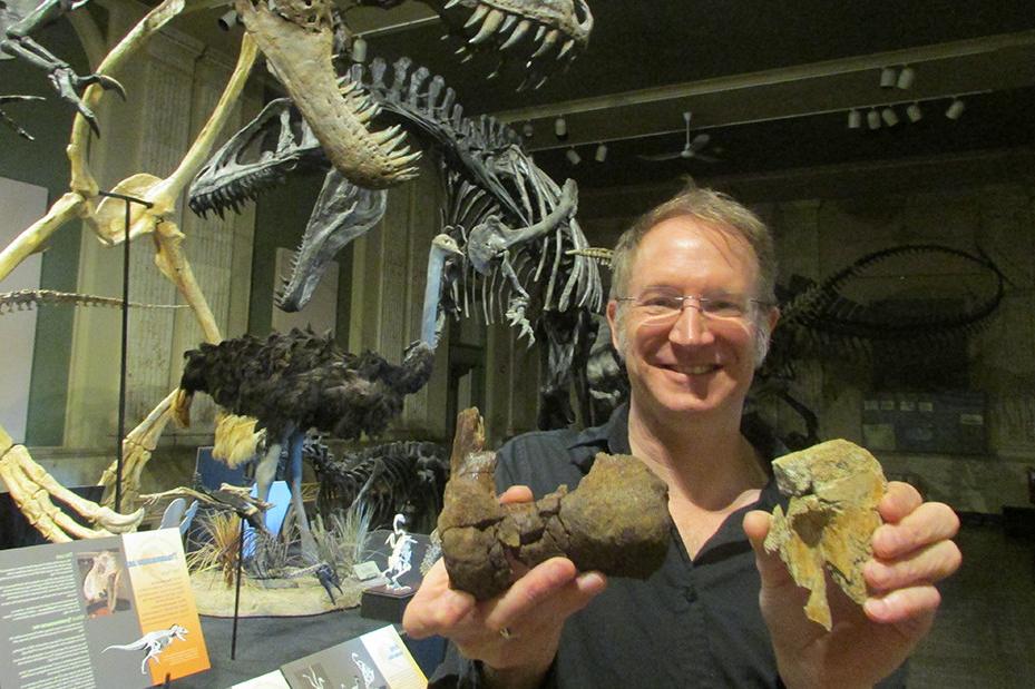 托马斯·卡尔教授(生物学、古生物学)拿着T形动物的胫骨和脚踝的一部分. 雷克斯.